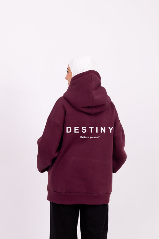 Destiny burgundy hoodie