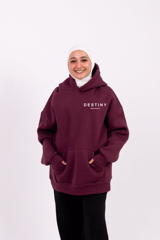 Destiny burgundy hoodie